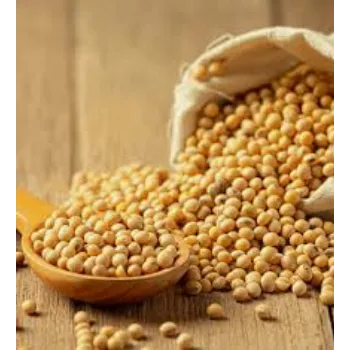 Soya Protein Soya Protein07-7048394-48836.webp